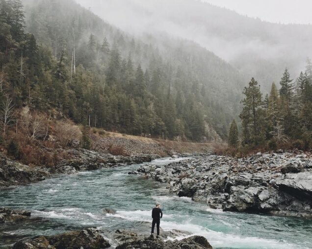 Sed varius ligula vel aliquet fermentum