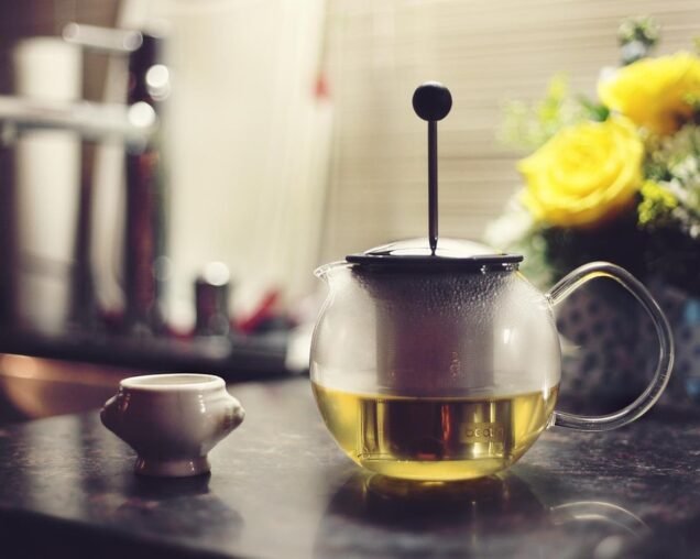 Nam scelerisque lobortis ex, sed tempus leo mattis quis